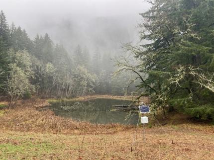 Solar-powered bat acoustic monitoring station in Skamania County.