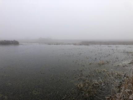 North Haystack Wetland is reflooded.