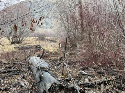 Scotch Creek Wildlife Area. Section of fence brushed out on the Chopaka Unit.