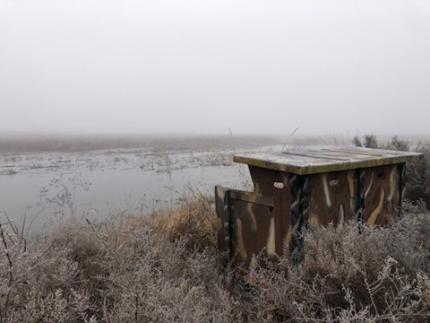 ADA Accessible hunting blind on the North Haystack Wetland.