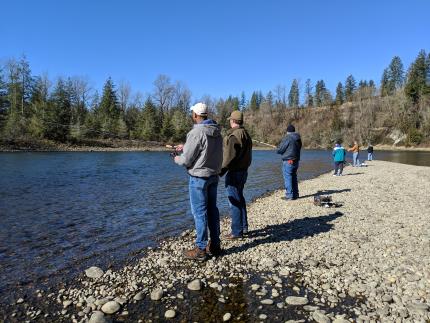 Anglers along a riverbank fishing for steelhead.