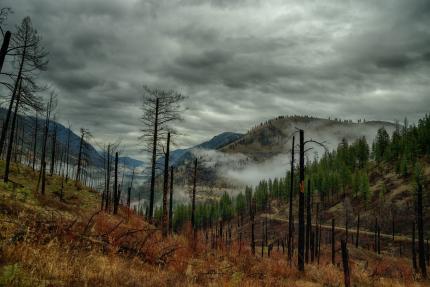 Low fog above Fish Lake, Sinlahekin Wildlife Area. 