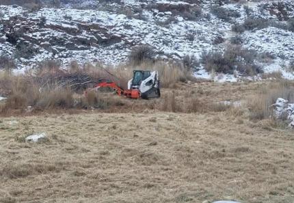 Mowing in a field