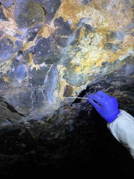 Bat hibernacula counts at Boulder Cave