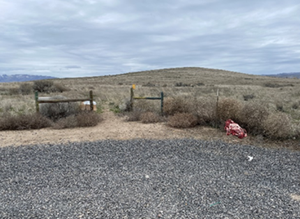 A deceased pig next to a fence