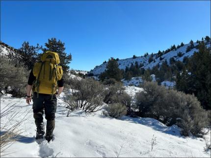 Wildlife Conflict Specialist hiking through the snow