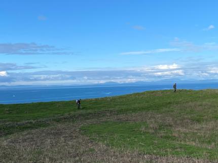 Fieldwork on Protection Island.