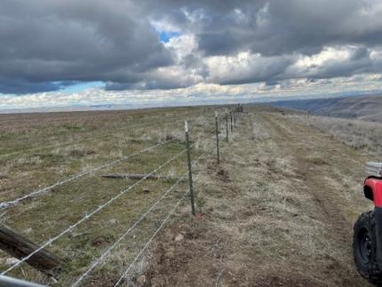 A newly constructed wire fence