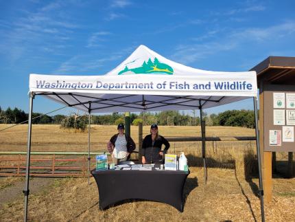 Volunteer ambassadors under a tent outdoors