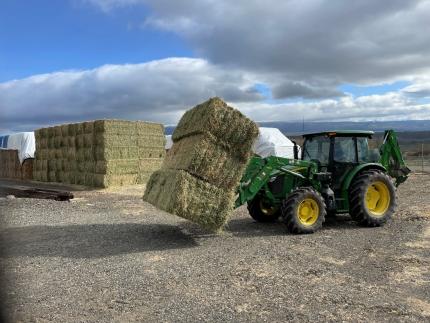 NRT Blore moving 1,200 lb bales of hay at the Watt barn.