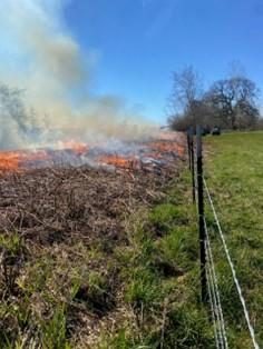 Fenceline at the Shillapoo Wildlife Area during the prescribed burn.