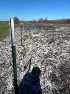 Fenceline at the Shillapoo Wildlife Area after the prescribed burn.