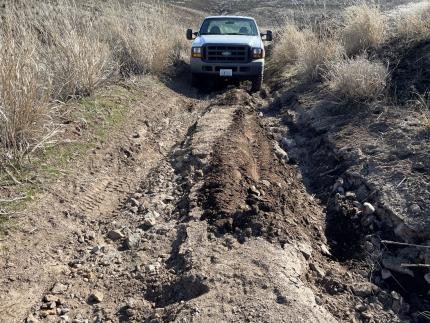 Whiskey Dick Unit’s Corral Access Road near Vantage Highway fire two years post fire.