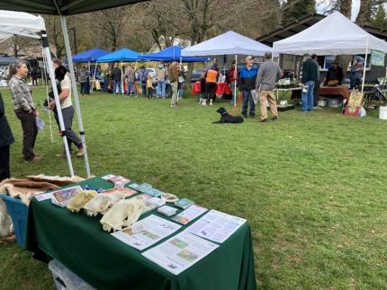 Members of the public enjoying the nice weather at the White Salmon Tree Fest.