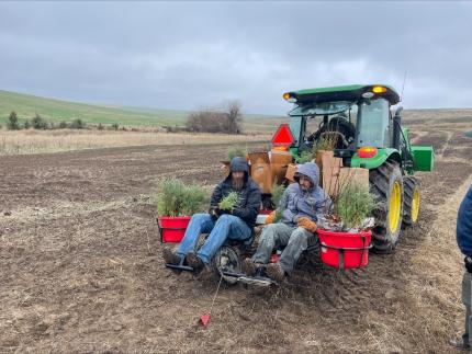 Tree and shrub planter implement demonstrated and used for the habitat project.