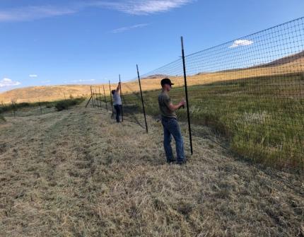 Staff members Stanley and Rise constructing the high fence.