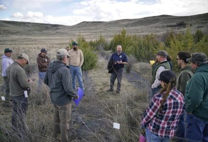 Discussion in the plant project.