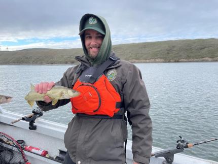 Technician Blore with a walleye on the Snake River.