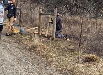 Fence repair and maintenance.