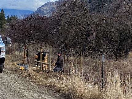 Fence repair and maintenance.