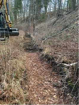 Irrigation ditch: cleaned out at rear, clogged in foreground. 