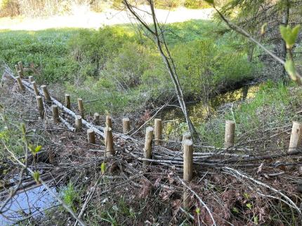 A beaver dam analog on John’s Creek.