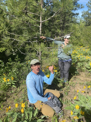 Biologists monitoring spotted owls. 