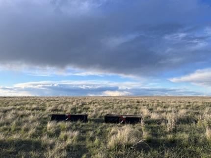 Release boxes placed near an active sharp-tailed grouse lek in Lincoln County.  