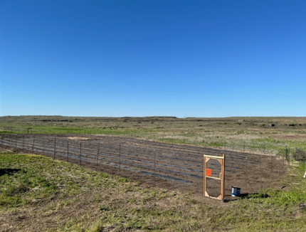 The completed habitat project at the Swanson Lake Wildlife Area.  