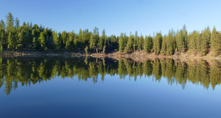 Calm water at Fancher Dam in the Okanogan Highlands. 