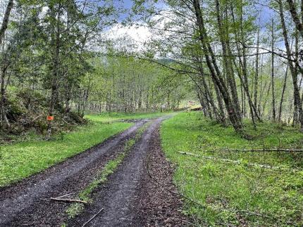 The entrance of the Mudflow Unit in the spring.