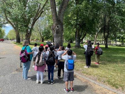 An elementary class viewing a Northern Racoon in a tree cavity at Sacagawea Park.