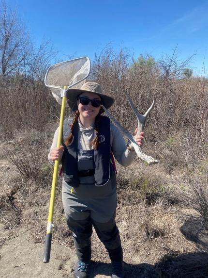 Technician Kelly holding a shed from a GMU 290 buck while conducting surveys!