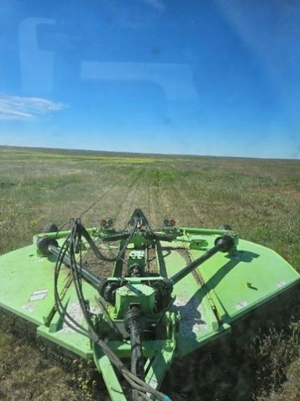 Mowing BLM native restoration field.