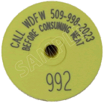 Yellow tag with WDFW phone number, tag ID number and message alerting hunters to call before consuming meat