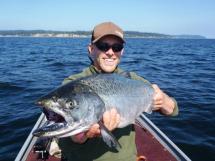 Fisherman on the prow of a boat holding a very large Chinook salmon