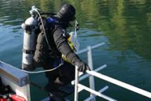 Diving for geoduck