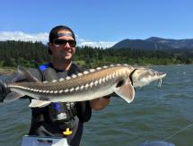 Fisherman on a boat holding a large white sturgeon using both hands