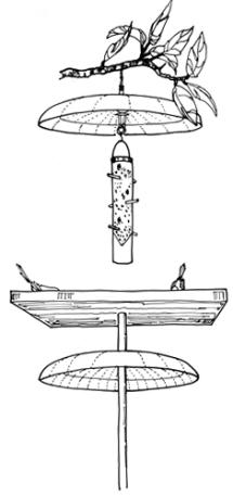 A drawing shows how to construct a squirrel-proof birder feeder.