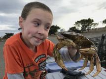 Boy looking into eyes of crab at Ocean Shores