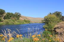 Yakima River in the autumn