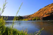 Yakima River with grass rustling in front