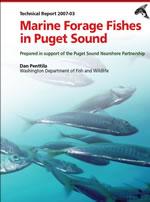 PSNERP Forage Fish report cover 