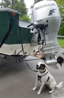 Puddles the dog is shown next to a boat.