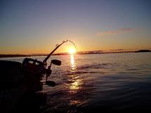 Season summaries and agreed fisheries  Washington Department of Fish &  Wildlife