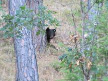 Discover Eastern Washington | Washington Department of Fish & Wildlife