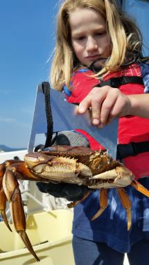 Young person measuring crab catch