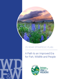 25-Year Strategic Plan Cover