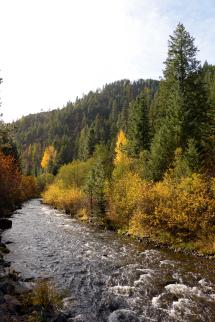 Tucannon River