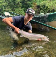 Summer steelhead from Cowlitz River. Photo by Collin Kuykendall